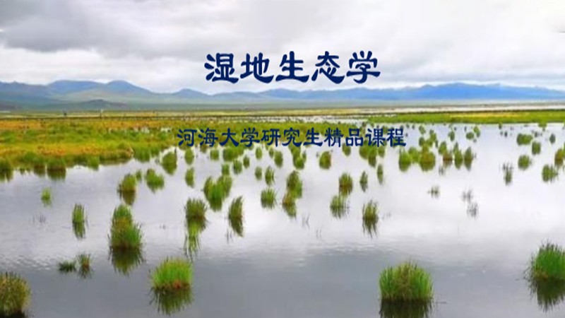 赌博平台